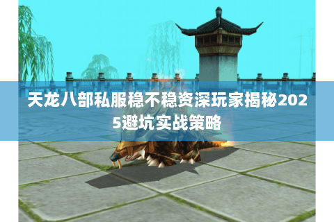 天龙八部私服稳不稳资深玩家揭秘2025避坑实战策略