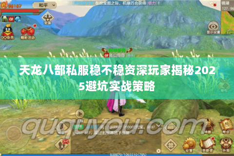 天龙八部私服稳不稳资深玩家揭秘2025避坑实战策略