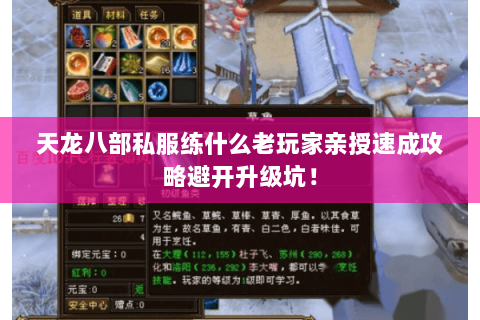 天龙八部私服练什么老玩家亲授速成攻略避开升级坑! 天龙八部私服练什么老玩家亲授速成攻略避开升级坑!
