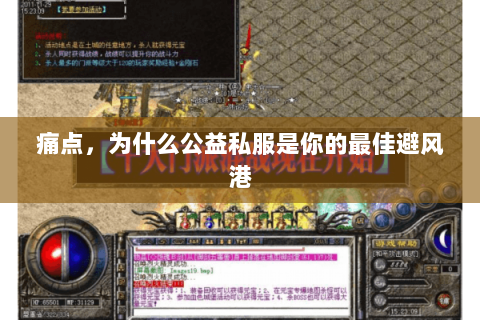 痛点,为什么公益私服是你的最佳避风港 痛点,为什么公益私服是你的最佳避风港