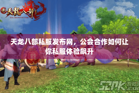 天龙八部私服发布网,公会合作如何让你私服体验飙升 天龙八部私服发布网,公会合作如何让你私服体验飙升