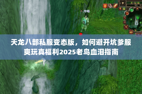 天龙八部私服变态版,如何避开坑爹服爽玩真福利2025老鸟血泪指南 天龙八部私服变态版,如何避开坑爹服爽玩真福利2025老鸟血泪指南