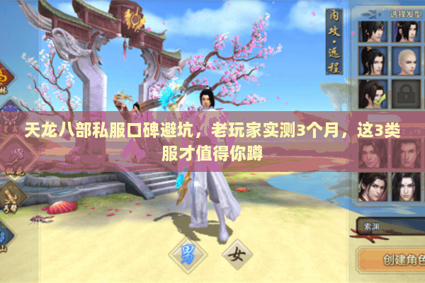 天龙八部私服口碑避坑,老玩家实测3个月,这3类服才值得你蹲 天龙八部私服口碑避坑,老玩家实测3个月,这3类服才值得你蹲