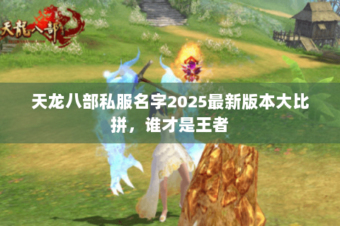 天龙八部私服名字2025最新版本大比拼,谁才是王者 天龙八部私服名字2025最新版本大比拼,谁才是王者