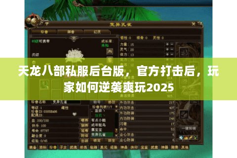 天龙八部私服后台版，官方打击后，玩家如何逆袭爽玩2025