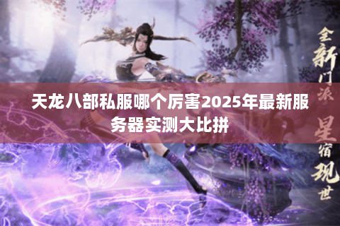 天龙八部私服哪个厉害2025年最新服务器实测大比拼