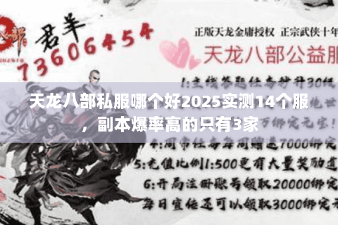 天龙八部私服哪个好2025实测14个服,副本爆率高的只有3家 天龙八部私服哪个好2025实测14个服,副本爆率高的只有3家