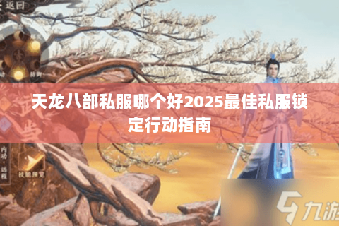 天龙八部私服哪个好2025最佳私服锁定行动指南