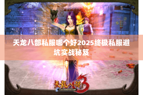 天龙八部私服哪个好2025终极私服避坑实战秘笈 天龙八部私服哪个好2025终极私服避坑实战秘笈