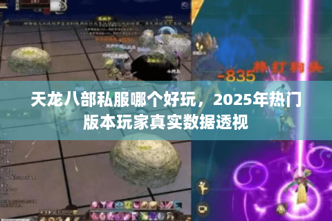 天龙八部私服哪个好玩,2025年热门版本玩家真实数据透视 天龙八部私服哪个好玩,2025年热门版本玩家真实数据透视