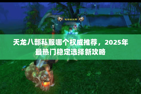 天龙八部私服哪个权威推荐，2025年最热门稳定选择新攻略
