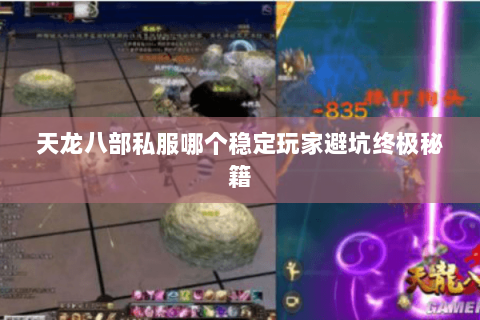 天龙八部私服哪个稳定玩家避坑终极秘籍