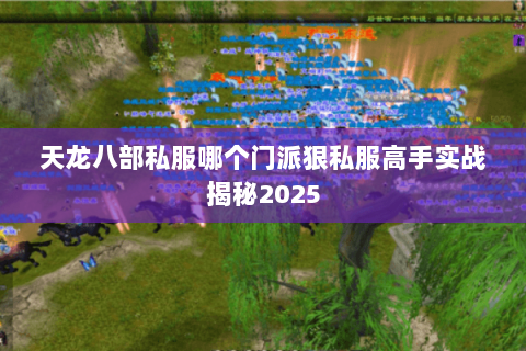 天龙八部私服哪个门派狠私服高手实战揭秘2025 天龙八部私服哪个门派狠私服高手实战揭秘2025