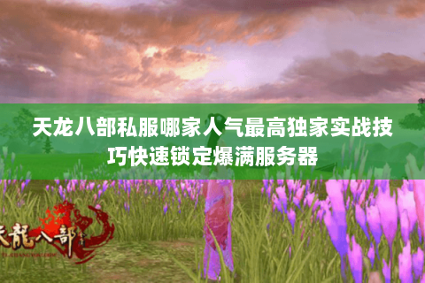 天龙八部私服哪家人气最高独家实战技巧快速锁定爆满服务器 天龙八部私服哪家人气最高独家实战技巧快速锁定爆满服务器