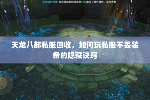 天龙八部私服回收,如何玩私服不丢装备的隐藏诀窍 天龙八部私服回收,如何玩私服不丢装备的隐藏诀窍