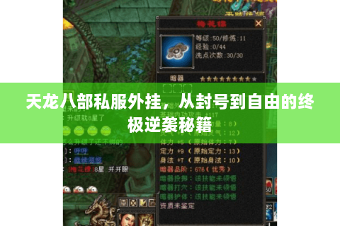 天龙八部私服外挂,从封号到自由的终极逆袭秘籍 天龙八部私服外挂,从封号到自由的终极逆袭秘籍
