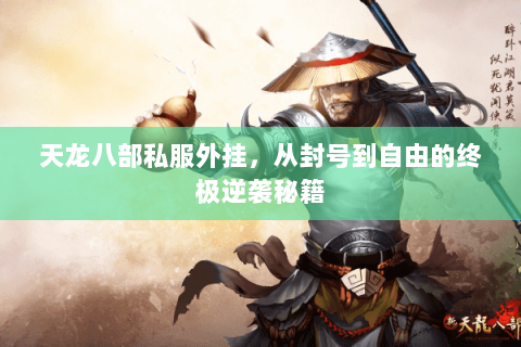 天龙八部私服外挂,从封号到自由的终极逆袭秘籍 天龙八部私服外挂,从封号到自由的终极逆袭秘籍