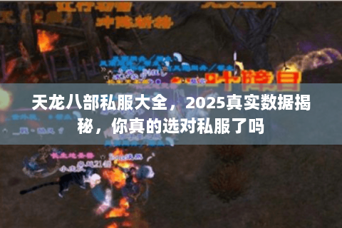 天龙八部私服大全,2025真实数据揭秘,你真的选对私服了吗 天龙八部私服大全,2025真实数据揭秘,你真的选对私服了吗