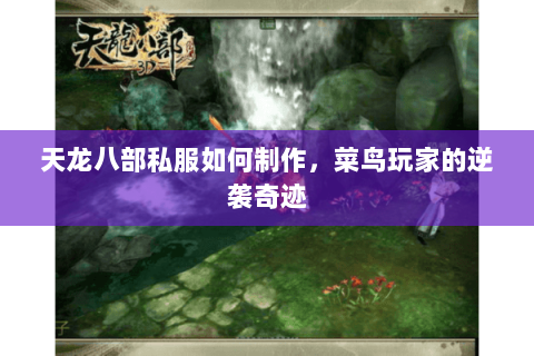 天龙八部私服如何制作,菜鸟玩家的逆袭奇迹 天龙八部私服如何制作,菜鸟玩家的逆袭奇迹