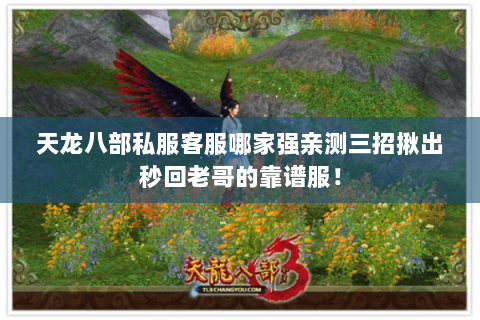天龙八部私服客服哪家强亲测三招揪出秒回老哥的靠谱服! 天龙八部私服客服哪家强亲测三招揪出秒回老哥的靠谱服!