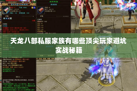 天龙八部私服家族有哪些顶尖玩家避坑实战秘籍 天龙八部私服家族有哪些顶尖玩家避坑实战秘籍
