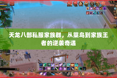 天龙八部私服家族群，从菜鸟到家族王者的逆袭奇遇