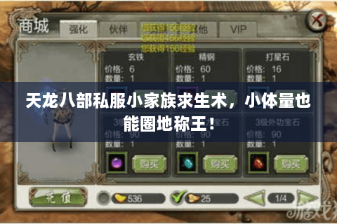 天龙八部私服小家族求生术,小体量也能圈地称王! 天龙八部私服小家族求生术,小体量也能圈地称王!