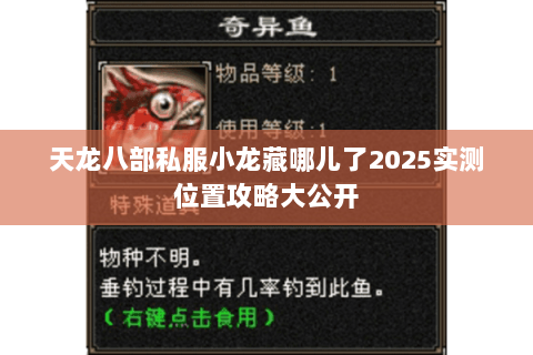 天龙八部私服小龙藏哪儿了2025实测位置攻略大公开 天龙八部私服小龙藏哪儿了2025实测位置攻略大公开