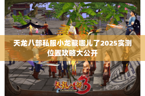 天龙八部私服小龙藏哪儿了2025实测位置攻略大公开 天龙八部私服小龙藏哪儿了2025实测位置攻略大公开