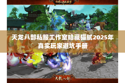 天龙八部私服工作室暗藏猫腻2025年真实玩家避坑手册 天龙八部私服工作室暗藏猫腻2025年真实玩家避坑手册