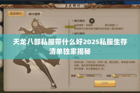 天龙八部私服带什么好2025私服生存清单独家揭秘 天龙八部私服带什么好2025私服生存清单独家揭秘