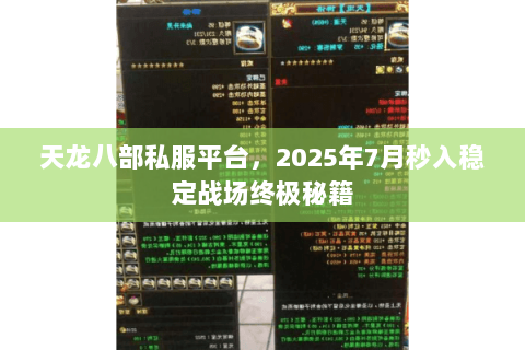 天龙八部私服平台,2025年7月秒入稳定战场终极秘籍 天龙八部私服平台,2025年7月秒入稳定战场终极秘籍