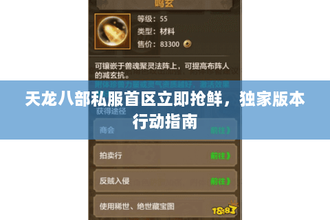 天龙八部私服首区立即抢鲜,独家版本行动指南 天龙八部私服首区立即抢鲜,独家版本行动指南