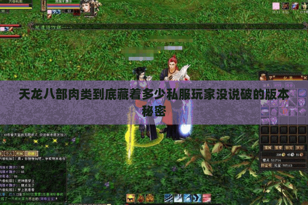 天龙八部肉类到底藏着多少私服玩家没说破的版本秘密