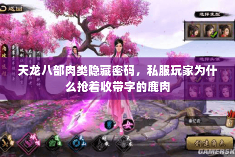 天龙八部肉类隐藏密码，私服玩家为什么抢着收带字的鹿肉