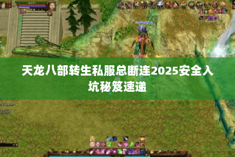 天龙八部转生私服总断连2025安全入坑秘笈速递 天龙八部转生私服总断连2025安全入坑秘笈速递