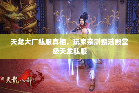 天龙大厂私服真相，玩家亲测甄选殿堂级天龙私服