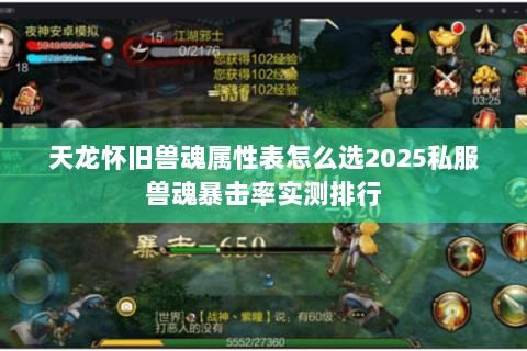天龙怀旧兽魂属性表怎么选2025私服兽魂暴击率实测排行