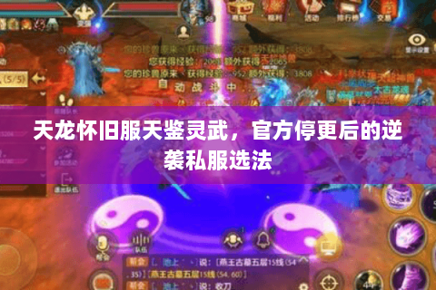 天龙怀旧服天鉴灵武,官方停更后的逆袭私服选法 天龙怀旧服天鉴灵武,官方停更后的逆袭私服选法