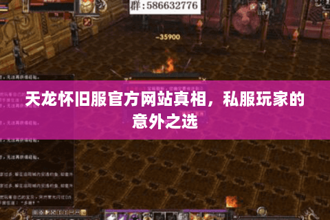 天龙怀旧服官方网站真相,私服玩家的意外之选 天龙怀旧服官方网站真相,私服玩家的意外之选