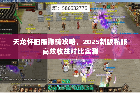 天龙怀旧服搬砖攻略，2025新版私服高效收益对比实测