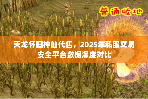 天龙怀旧神仙代售,2025年私服交易安全平台数据深度对比 天龙怀旧神仙代售,2025年私服交易安全平台数据深度对比