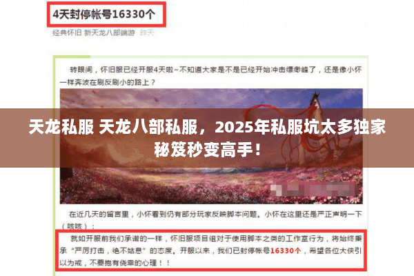 天龙私服 天龙八部私服,2025年私服坑太多独家秘笈秒变高手! 天龙私服 天龙八部私服,2025年私服坑太多独家秘笈秒变高手!