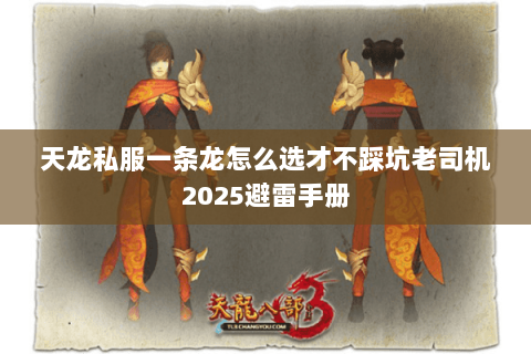 天龙私服一条龙怎么选才不踩坑老司机2025避雷手册 天龙私服一条龙怎么选才不踩坑老司机2025避雷手册