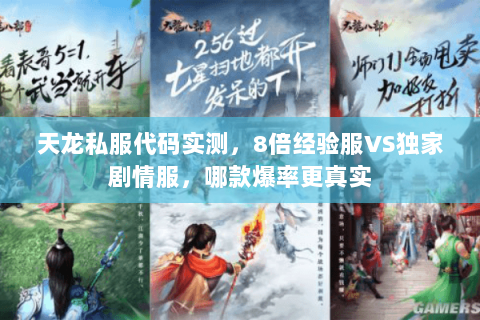 天龙私服代码实测,8倍经验服VS独家剧情服,哪款爆率更真实 天龙私服代码实测,8倍经验服VS独家剧情服,哪款爆率更真实