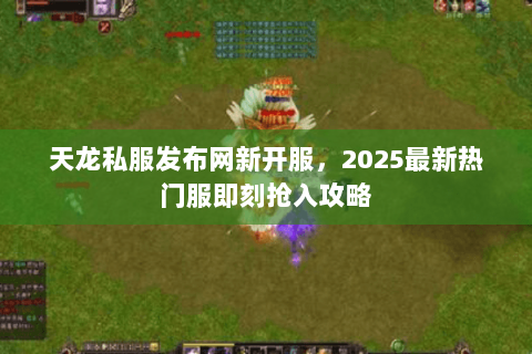 天龙私服发布网新开服,2025最新热门服即刻抢入攻略 天龙私服发布网新开服,2025最新热门服即刻抢入攻略