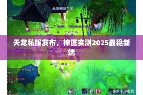 天龙私服发布，神匠实测2025最稳新端