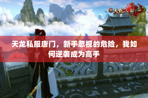 天龙私服唐门,新手忽视的危险,我如何逆袭成为高手 天龙私服唐门,新手忽视的危险,我如何逆袭成为高手