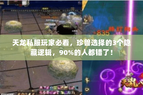 天龙私服玩家必看,珍兽选择的3个隐藏逻辑,90%的人都错了! 天龙私服玩家必看,珍兽选择的3个隐藏逻辑,90%的人都错了!