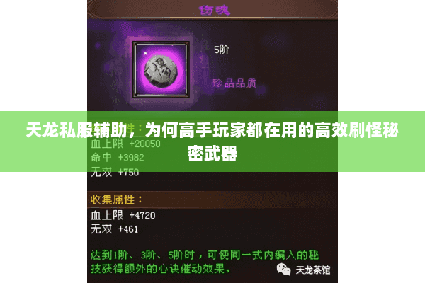 天龙私服辅助，为何高手玩家都在用的高效刷怪秘密武器